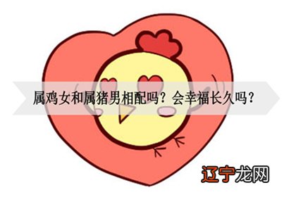 在十二生肖婚配中，属鸡女和属猪男相配吗？