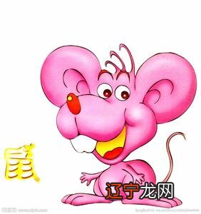 八字流年婚姻 你知道吗?生肖为何无猫是远古无猫家猫家猫?