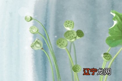 组图 1959年属相是什么,1959年生属什么