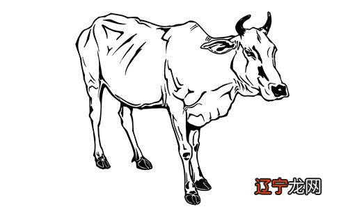 组图 1959年属相是什么,1959年生属什么