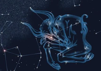 金牛座是什么象星座土象的人很喜欢没事赖在家里