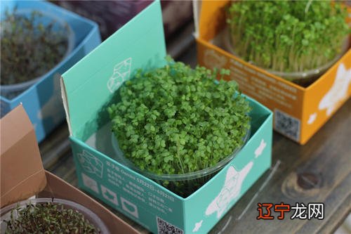 28星宿关系详解,古人仰望星空时看到了什么?