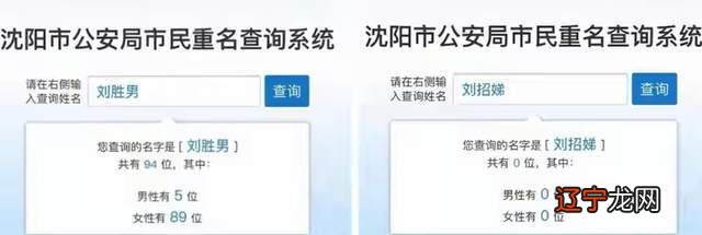 给宝宝起名字是否“大众”山西推出同名同姓人数查询