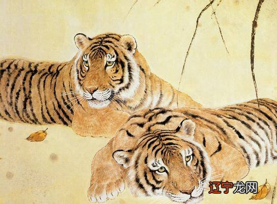 组图 昱晟：74年属虎人今年运程