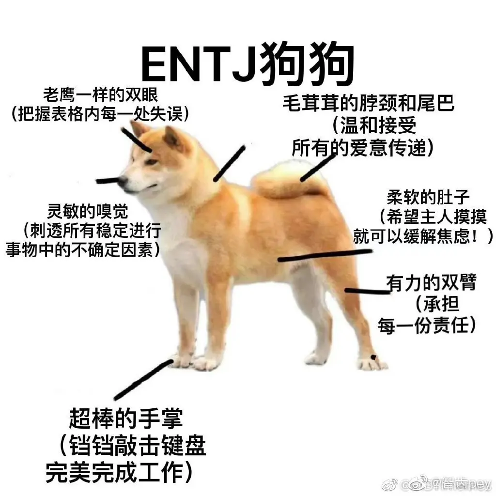 图 星座占卜术 要不要来做一次MBTI人格测试吗?