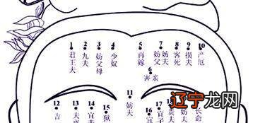 面相三停法中将一个人一生的运势及命理轨迹划分