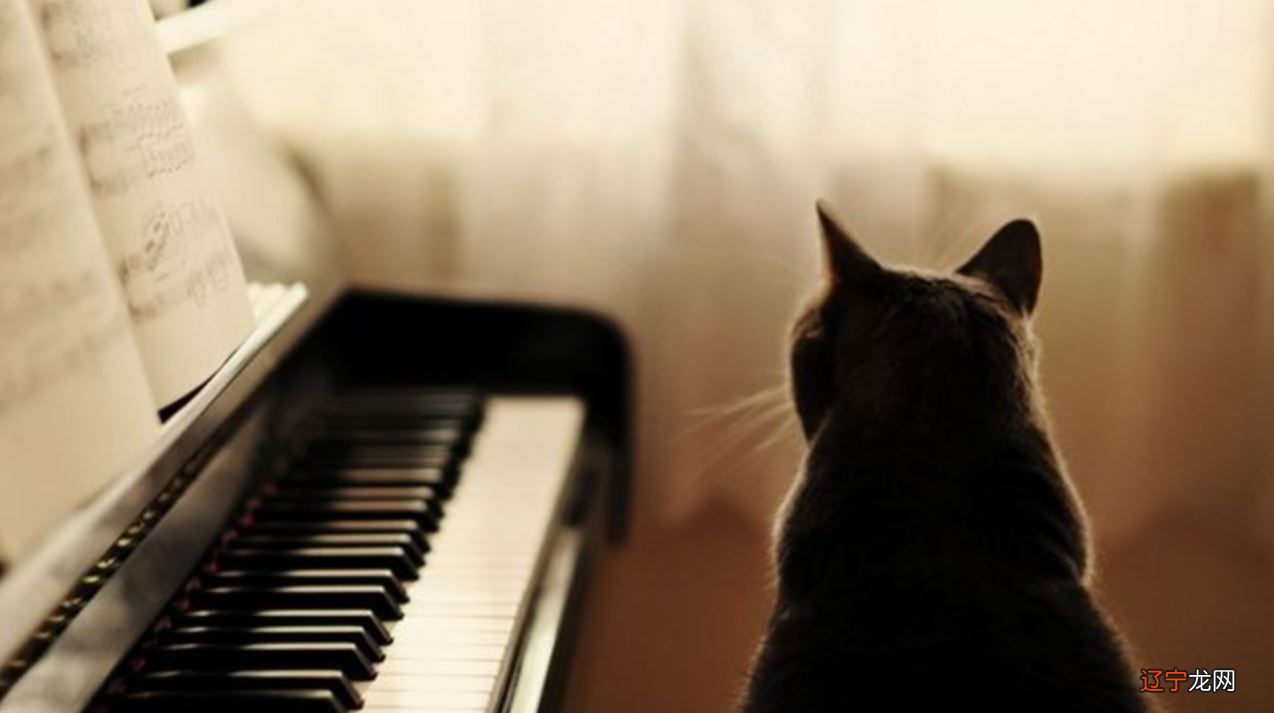 抑郁症:抑郁是一种病,而不是病!