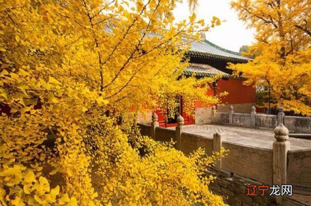 风水八字算命 先说风水:中国人都知道风水,也很认真的去了解、运用风水