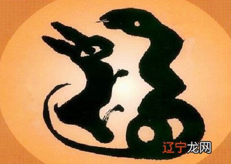 从生肖婚配的角度看来,蛇和兔的婚配怎么样