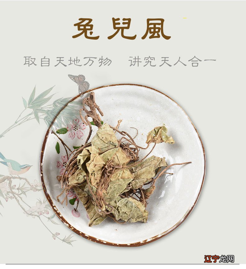 梦见买药材 《妻子的谎言未删减版》第38集预告片