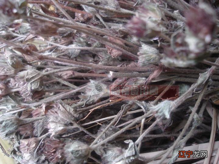 梦见买药材 《妻子的谎言未删减版》第38集预告片