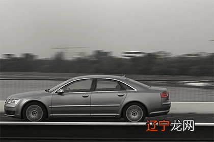 属鸡的人适合选什么车牌?汽车风水与属相有何关系