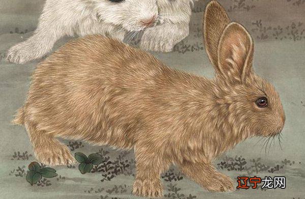 十二生肖最聪明的属性_喜欢聪明女人的生肖男_聪明能干的生肖