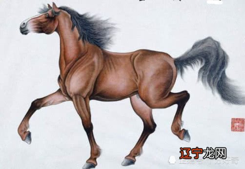 属龙的人与什么生肖的配对是最好的呢?