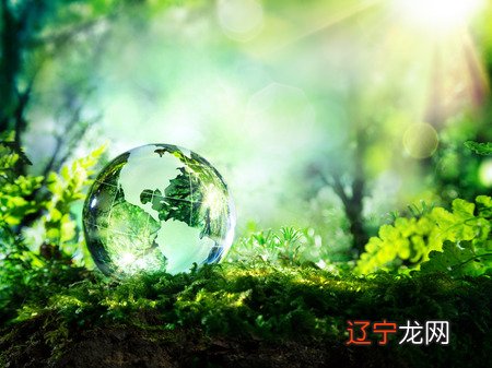 小编来和大家学习一下怎样向外国人介绍中国的清明节