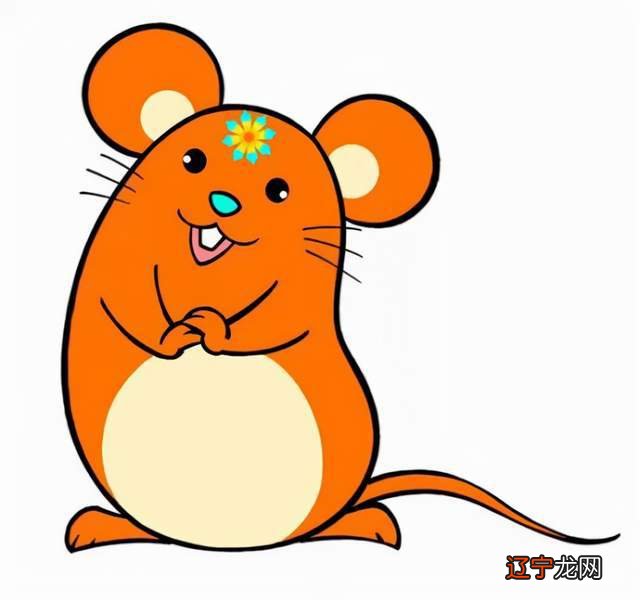 今年22岁属什么生肖属_1975年属什么生肖属_属龙的最忌什么生肖