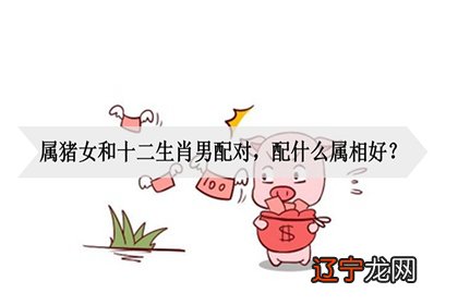 属猪女和什么生肖男最配呢?和十二生肖女配对