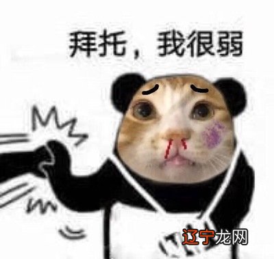#缅甸猫8835篇细节#我的世界喷泉怎么做