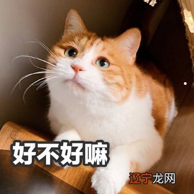 #缅甸猫8835篇细节#我的世界喷泉怎么做