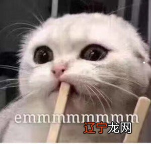 #缅甸猫8835篇细节#我的世界喷泉怎么做