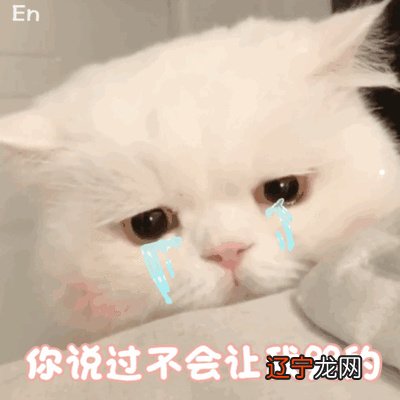 #缅甸猫8835篇细节#我的世界喷泉怎么做