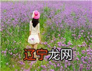 【李向东】命理测算入门最好的书籍是哪本周易学