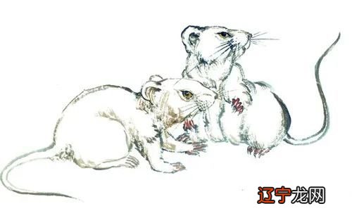 属鼠风水堂:96鼠女和90马男的婚姻