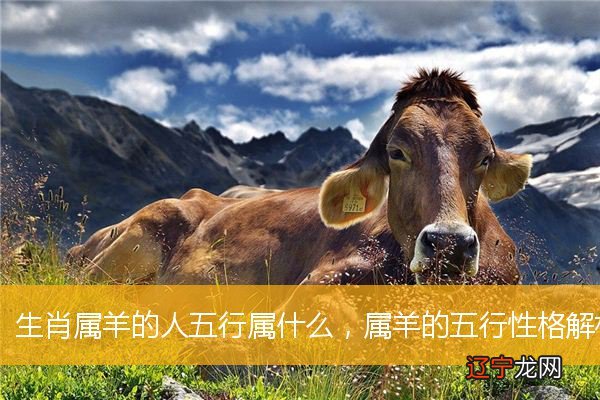慈世堂：生肖羊的人五行属什么？金羊主人运势