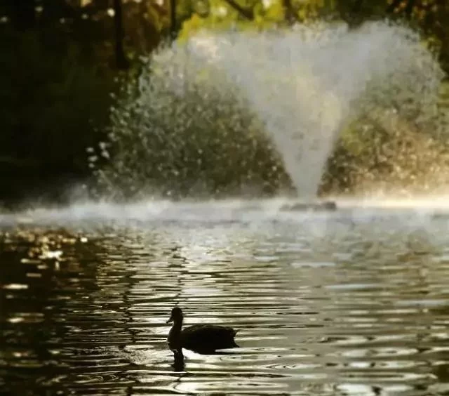 风水堂:什么样的八字旺夫?