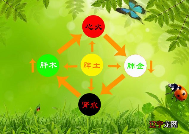 五行学说是中华术数的根源吗?论来讲中医