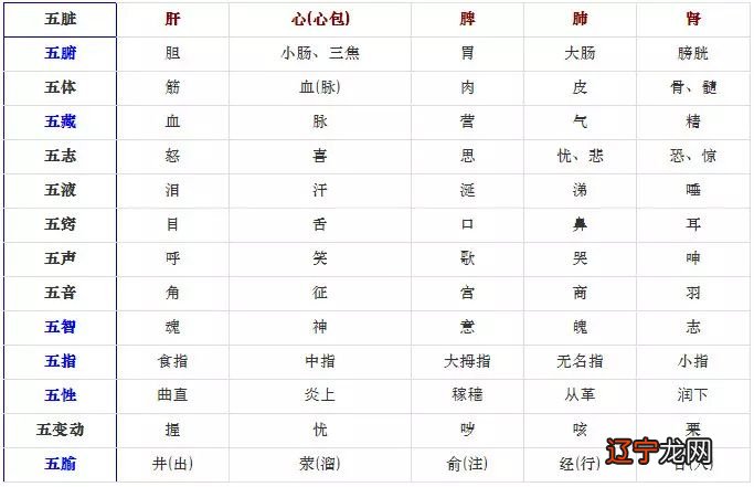 儒家道家法家百家兵法中医正史历史易经南怀瑾小雅自助建站书城人之性