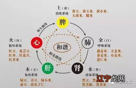 儒家道家法家百家兵法中医正史历史易经南怀瑾小雅自助建站书城人之性