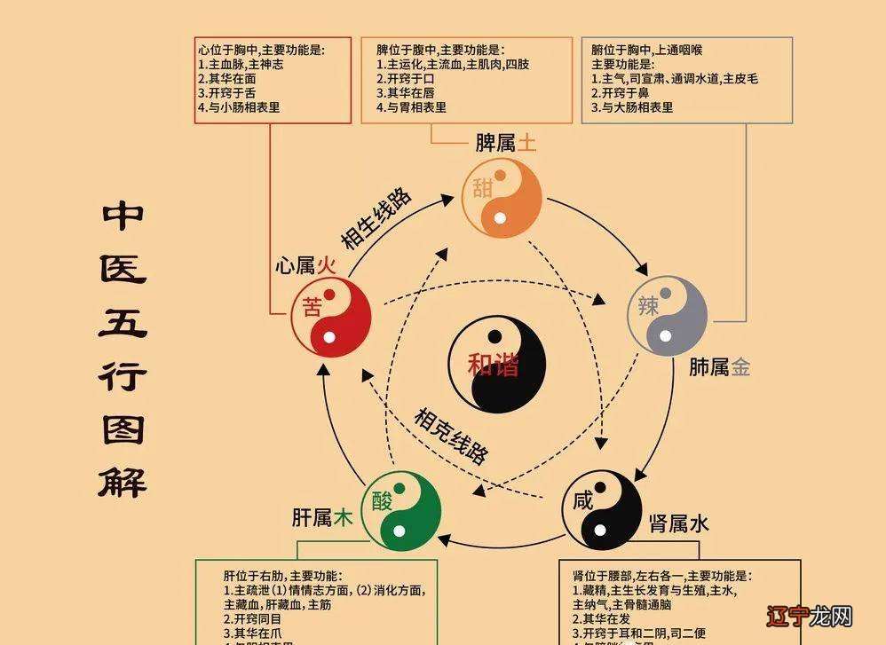 儒家道家法家百家兵法中医正史历史易经南怀瑾小雅自助建站书城人之性