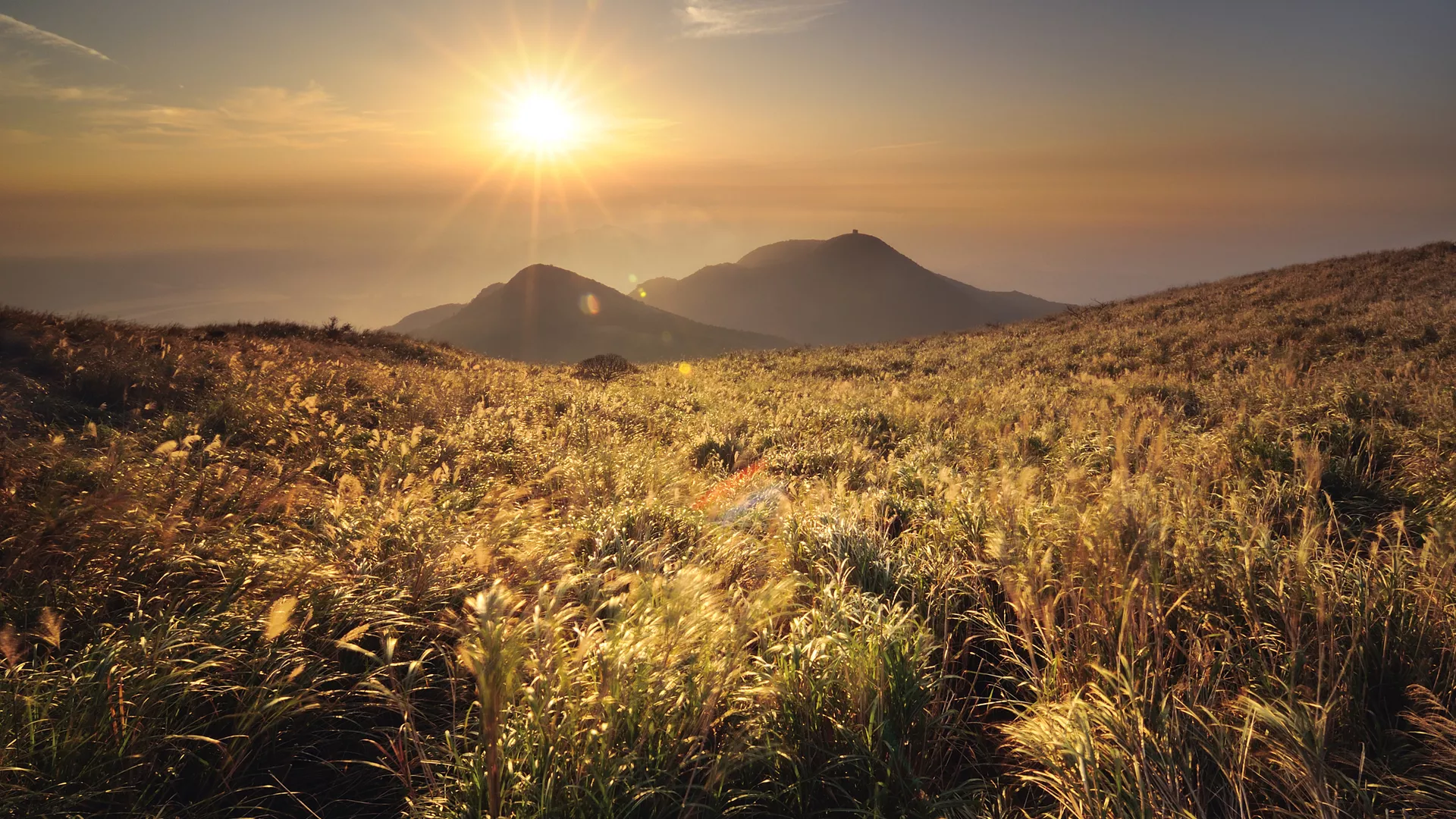 1、八字合婚最准的免费网站:求一个能够免费测八字合婚的网站？