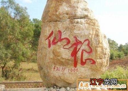 图 风水堂:状元命的八字特征