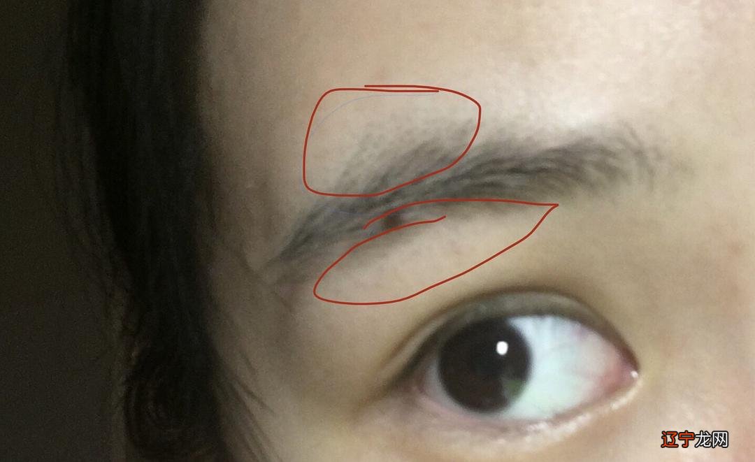 组图 这10种眉毛，该改离婚感情受挫严重!