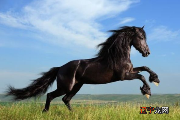 5月21日-7月22日，财运一路大顺的生肖