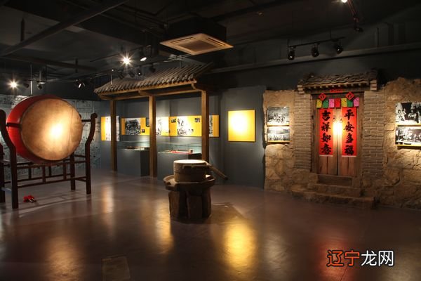 puc载体是表达载体_民俗传播的载体_质粒载体与表达载体