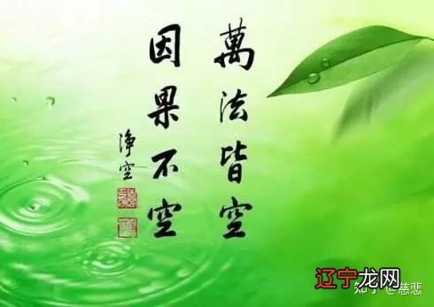 湖北广水市车祸连环死伤上十人:今生兔唇只因为前世爱钓鱼