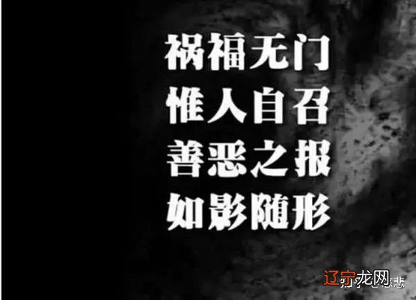 湖北广水市车祸连环死伤上十人:今生兔唇只因为前世爱钓鱼
