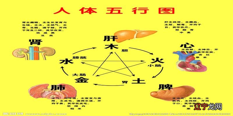 详情请风水堂:八字五行看你的健康运势