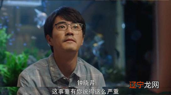 这种观赏鱼的起名,容易引起盲目购买,招财鱼真的能招财吗?