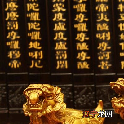 属龙微信选择什么网名比较好，你知道吗？