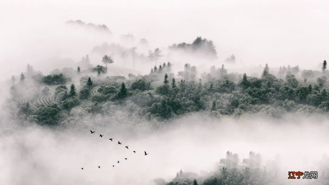 《道德经》有言:“反者,道之动”