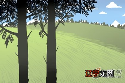 阴宅风水朝向哪里最好?看本期风水学栏目