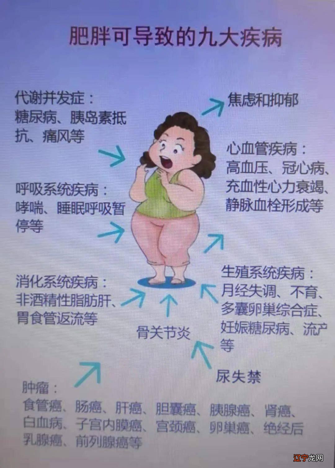 星座土象火象水象_星座火象水象风象哪些_最适合象星座减肥方法