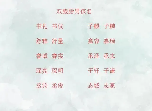二 给双胞胎宝宝起两个好名字,你知道吗?