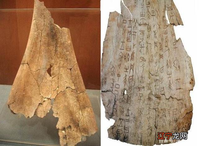 组图 在机缘巧合之下发现甲骨文，揭开他的神秘面纱