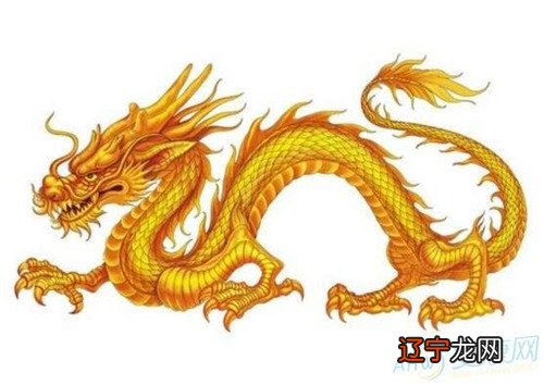 2019年属龙的财运如何？生肖属龙无论男女，猪年桃花仍旺