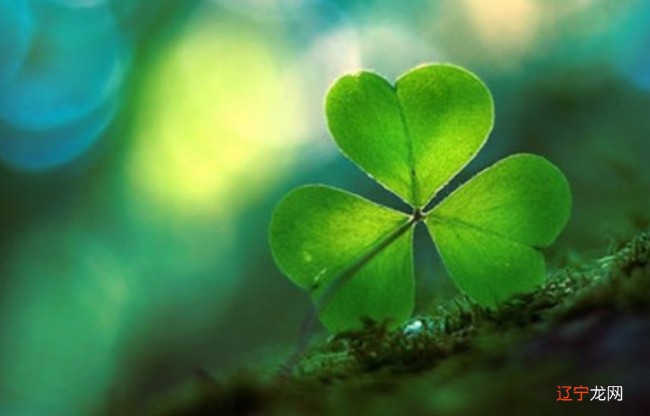 成长变化论之风象星座与土象星座，文接上篇~~